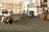 Picture of Hartco - Everguard Classic Plus Sea Oat