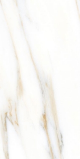 Picture of Elysium - AGL 12 x 24 Matte Calacatta Gold