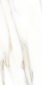 Picture of Elysium - AGL 12 x 24 Matte Calacatta Gold