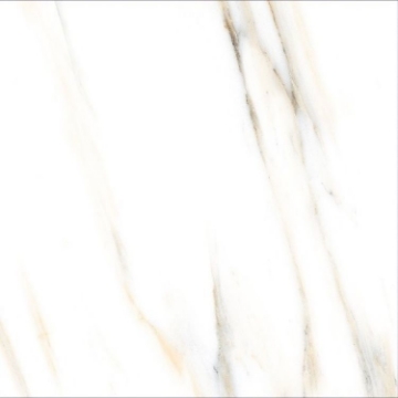 Picture of Elysium - AGL 24 x 24 Matte Calacatta Gold