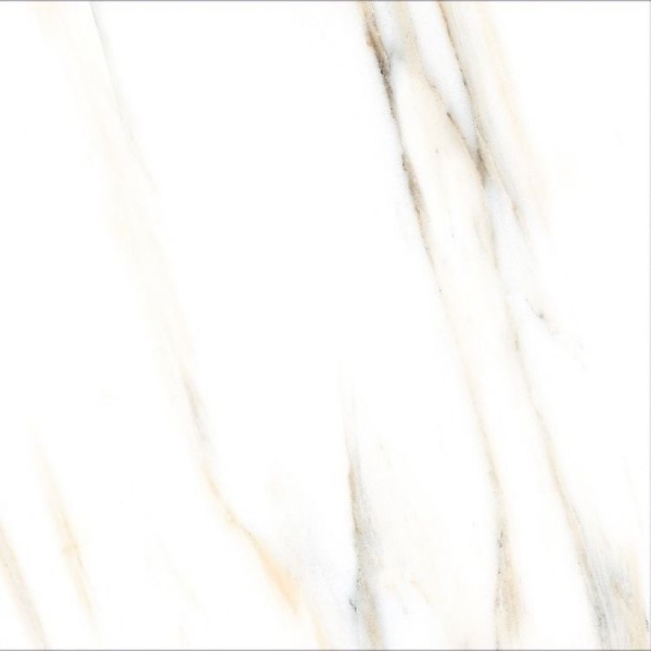 Picture of Elysium - AGL 24 x 24 Matte Calacatta Gold