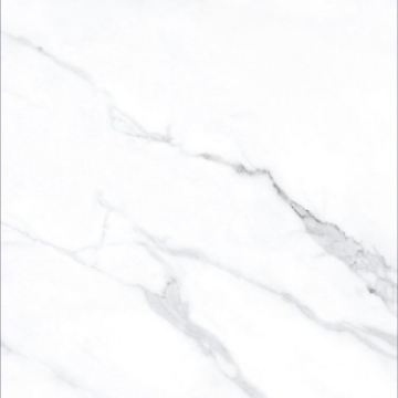 Picture of Elysium - AGL 24 x 24 Matte Statuario