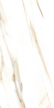 Picture of Elysium - AGL 24 x 48 Matte Calacatta Gold