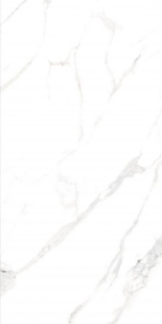 Picture of Elysium - AGL 24 x 48 Matte Statuario