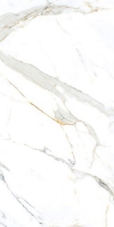 Picture of Elysium - AGL 24 x 48 Polished Apia Orange