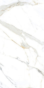 Picture of Elysium - AGL 24 x 48 Polished Apia Orange