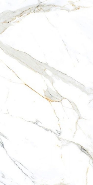 Picture of Elysium - AGL 24 x 48 Polished Apia Orange