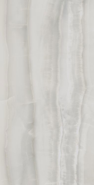 Picture of Elysium - Akoya 24 x 48 Matte Silver