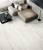 Picture of Elysium - Akoya 24 x 48 Polished White
