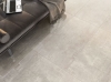 Picture of Elysium - NG Alaska 24 x 48 Grey
