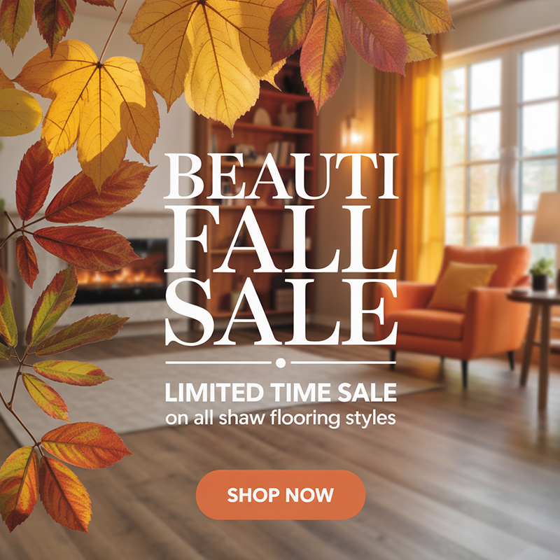 Fall Shaw Sale