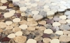 Picture of Elysium - Aphrodite Burgundy Brown
