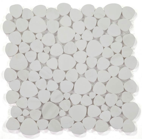 Picture of Elysium - Aphrodite Dolomite Honed