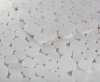 Picture of Elysium - Aphrodite Dolomite Honed