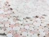 Picture of Elysium - Aphrodite Soft Rose