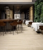 Picture of Elysium - Appia 24 x 48 Matte Vein Cut Beige