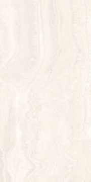 Picture of Elysium - Appia 24 x 48 Matte Vein Cut White