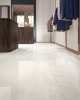Picture of Elysium - Appia 24 x 48 Polished Cross Cut White