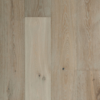 Picture of Veranda - Charleston Magnolia