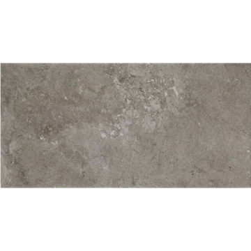 Picture of Daltile - Scripter 12 x 24 Rebel