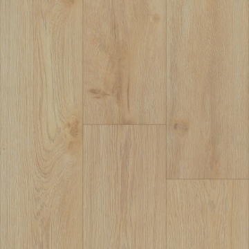 Picture of Trucor - Tymbr XL Valencia