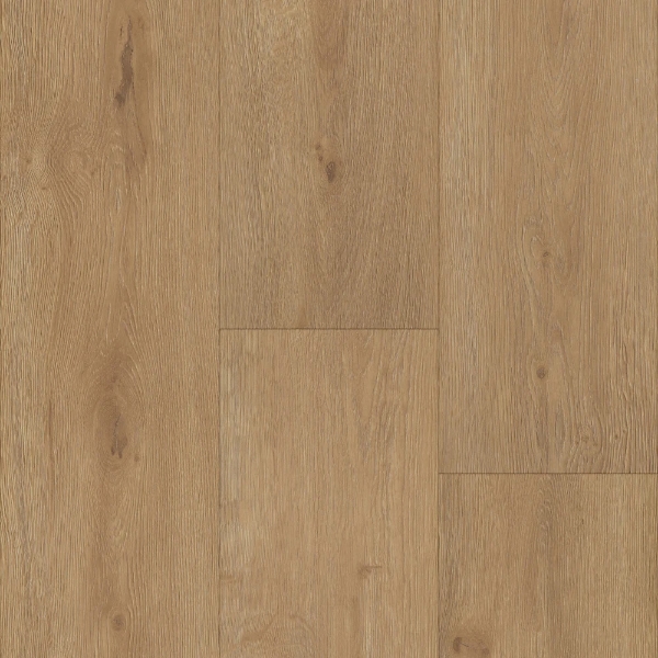 Picture of Trucor - Tymbr XL Madrid