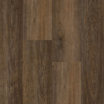 Picture of Happy Feet Intl. - Mustang Autumn