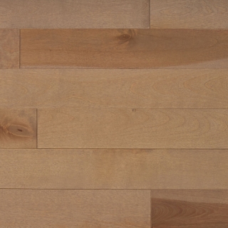 Picture of Appalachian Flooring - Signature Solid 3 1/4 Biscotti Birch Excel