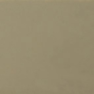 Picture of Daltile - Natural Hues 4 x 4 Birch