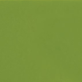 Picture of Daltile - Natural Hues 4 x 4 Fern