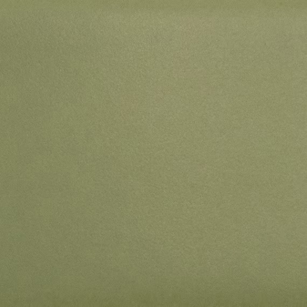 Picture of Daltile - Natural Hues 2.25 x 8 Artichoke