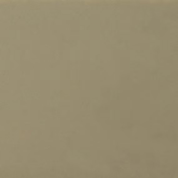 Picture of Daltile - Natural Hues 2.25 x 8 Birch