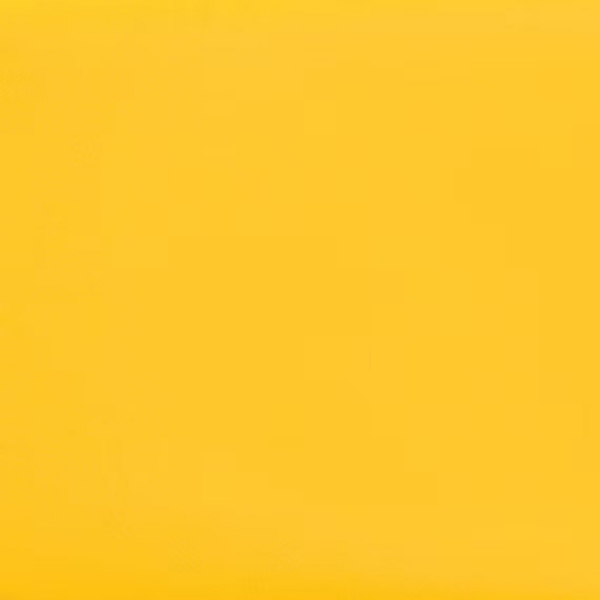 Picture of Daltile - Natural Hues 2.25 x 8 Daisy