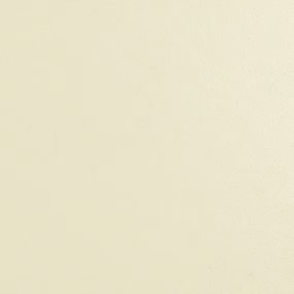 Picture of Daltile - Natural Hues 2.25 x 8 Ivory