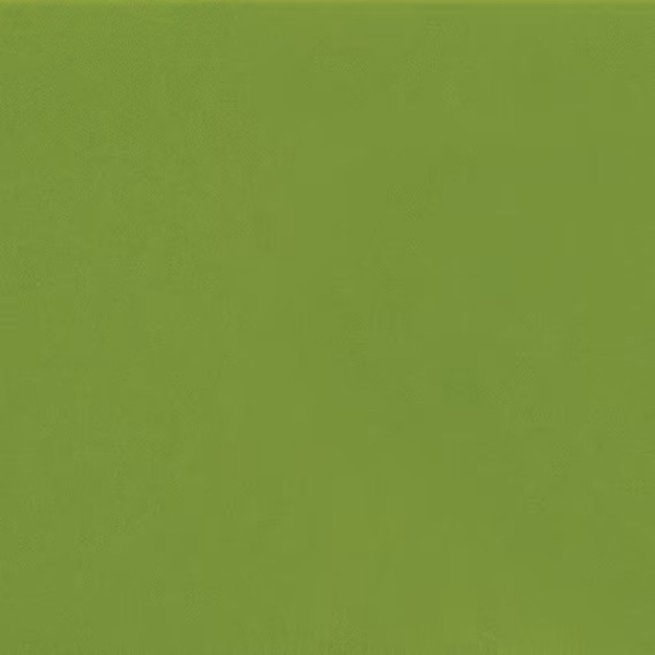 Picture of Daltile - Natural Hues 2.25 x 8 Fern