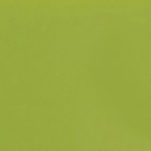 Picture of Daltile - Natural Hues 2.25 x 8 Kiwi