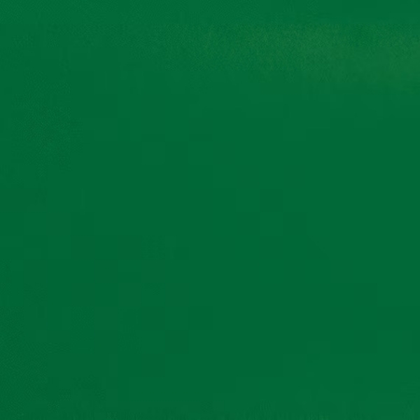 Picture of Daltile - Natural Hues 2.25 x 8 Spring Green