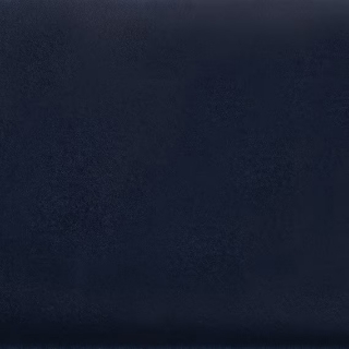 Picture of Daltile - Natural Hues 2.25 x 8 Midnight Blue