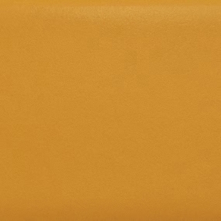 Picture of Daltile - Natural Hues 2.25 x 8 Dijon