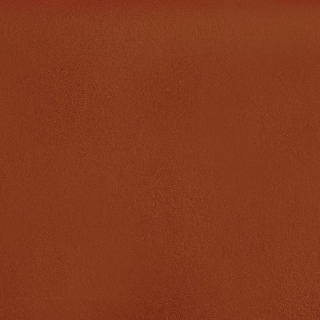 Picture of Daltile - Natural Hues 2.25 x 8 Tuscany