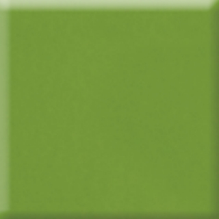 Picture of Daltile - Natural Hues 8 x 8 Fern