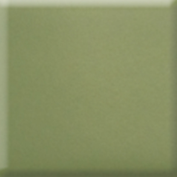 Picture of Daltile - Natural Hues 12 x 12 Artichoke