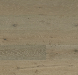 Picture of Monarch Plank - Tableau Bazille