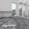 Picture of Kraus Flooring - Organic Storm Cloud
