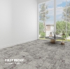 Picture of Kraus Flooring - Organic First Frost