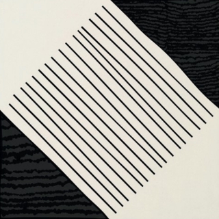 Picture of Daltile - Human Opposite