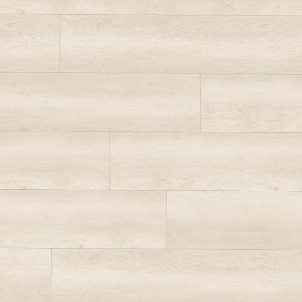 Picture of MS International - Shorecliffs Sunny Shake