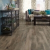 Picture of Mannington - Iberian Hazelwood Chestnut