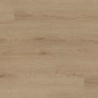 Picture of MS International - XL Studio Bozeman