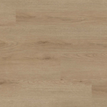 Picture of MS International - XL Studio Bozeman